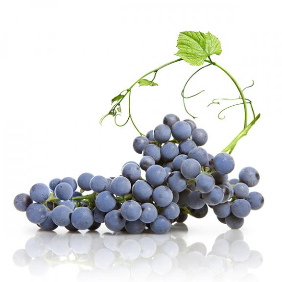 Grappolo d'uva